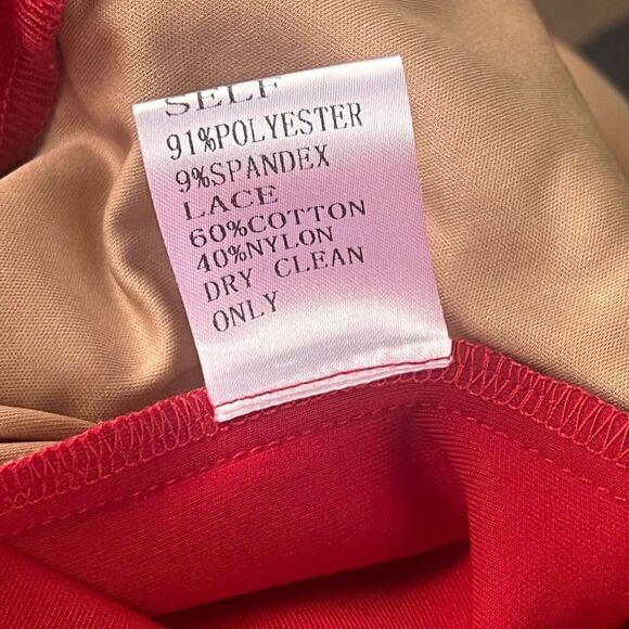 Tadashi Shoji Edie Red Rock Nude Neoprene Embroidered Lace panel Dress L - Picture 3 of 5